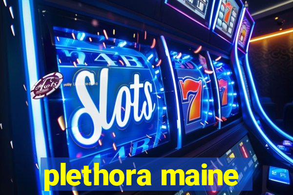 plethora maine