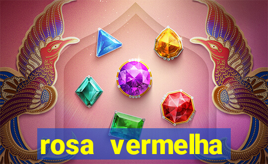 rosa vermelha (letra e cifra)