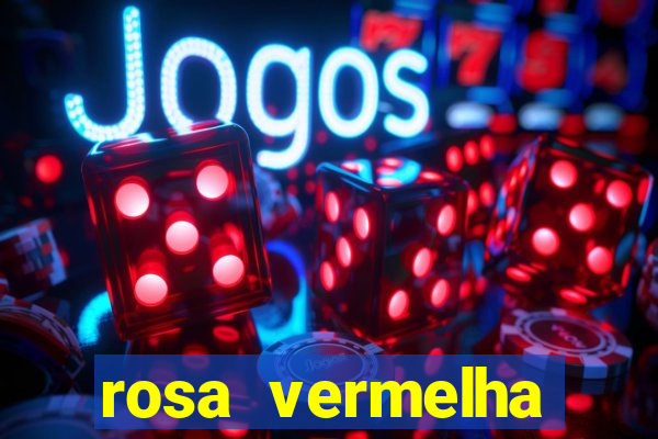 rosa vermelha (letra e cifra)