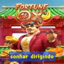 sonhar dirigindo carro jogo do bicho