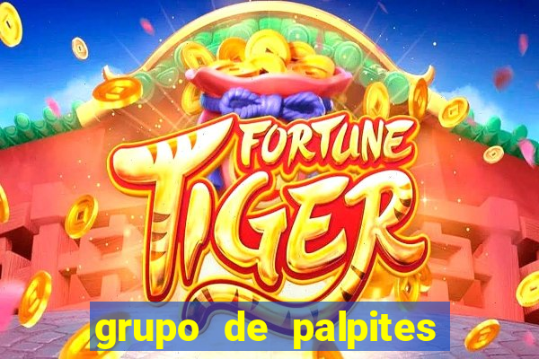 grupo de palpites de futebol whatsapp