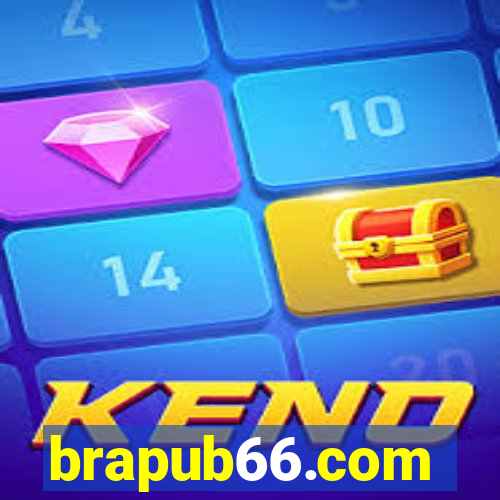 brapub66.com