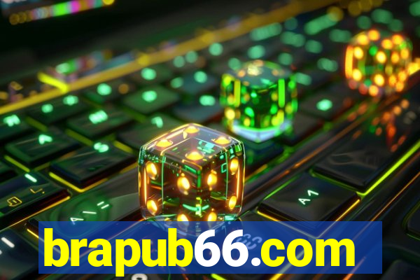 brapub66.com