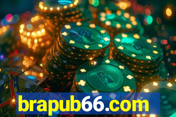 brapub66.com