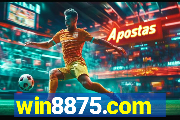 win8875.com