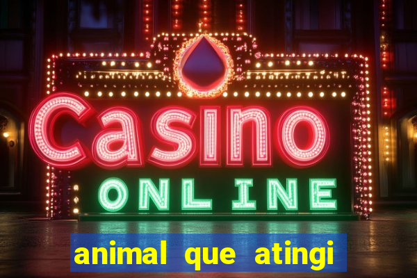 animal que atingi 230 decibeis