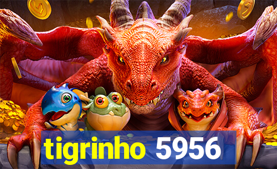 tigrinho 5956