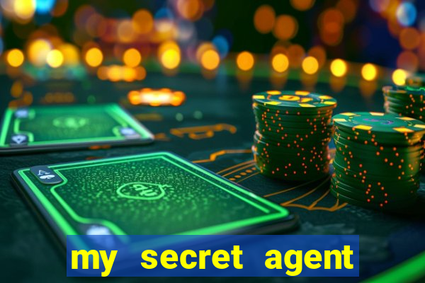 my secret agent husband legendado