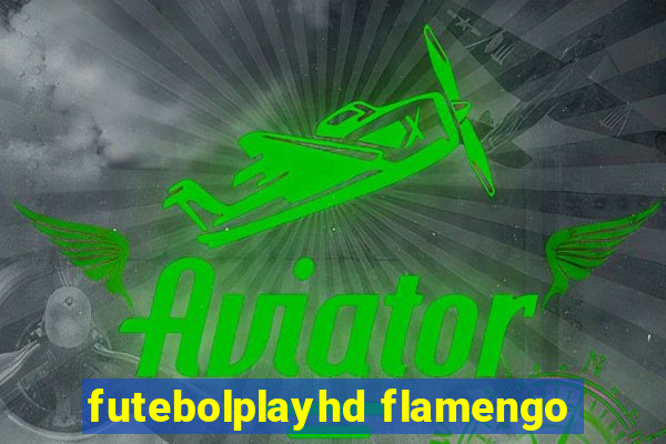 futebolplayhd flamengo