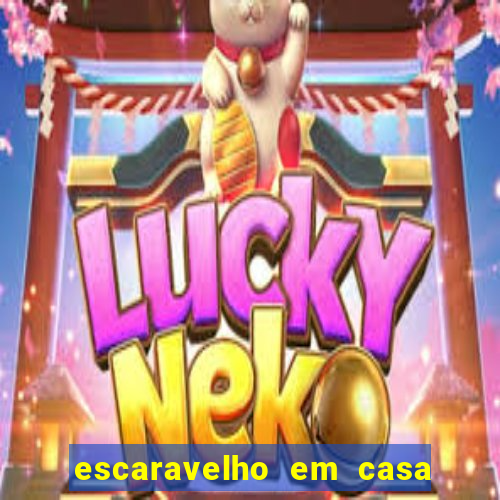 escaravelho em casa significado espiritual