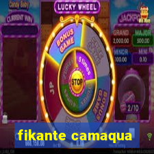 fikante camaqua