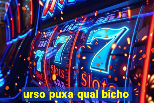 urso puxa qual bicho
