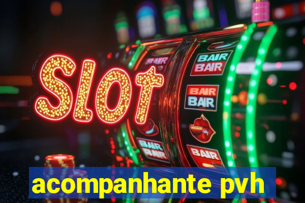 acompanhante pvh