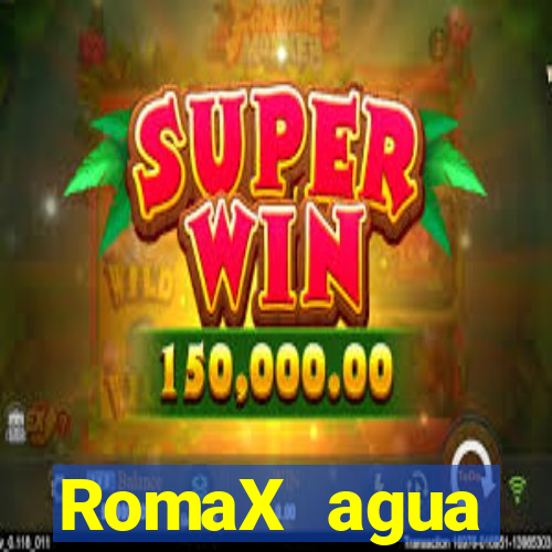 RomaX agua sanitaria fispq agua sanitaria romax