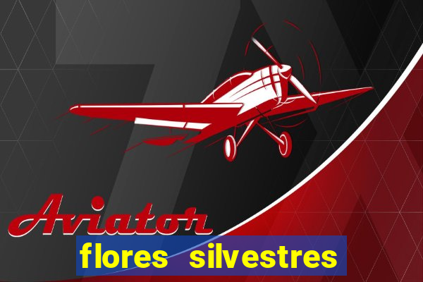 flores silvestres desbravadores desbravadores 25 flores silvestres e seus nomes