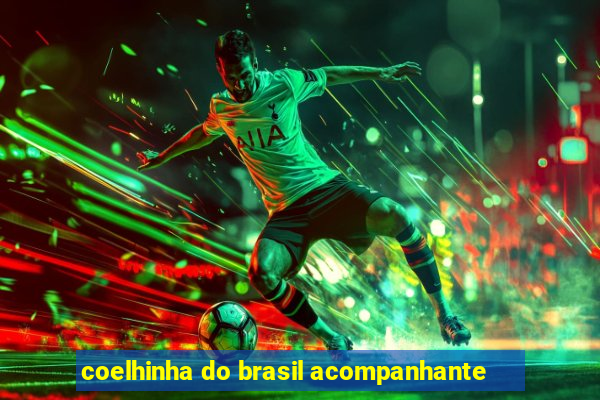 coelhinha do brasil acompanhante
