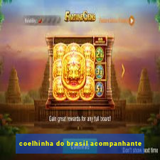 coelhinha do brasil acompanhante