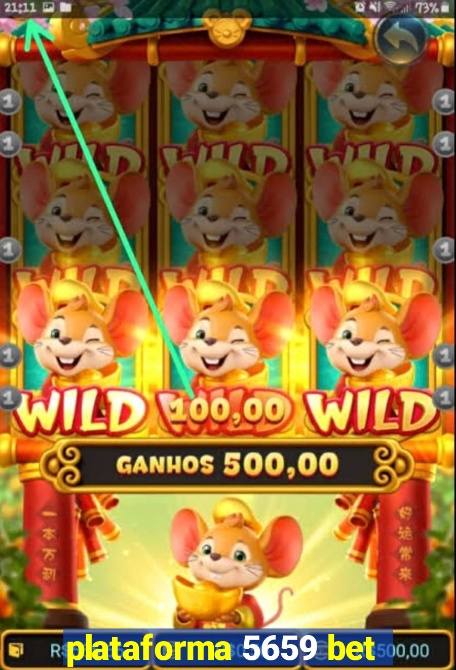 plataforma 5659 bet
