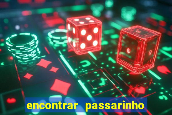 encontrar passarinho morto significado