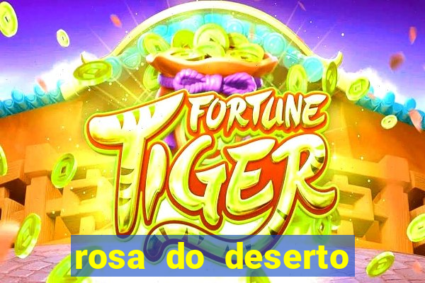 rosa do deserto lilac frost