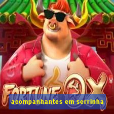 acompanhantes em serrinha