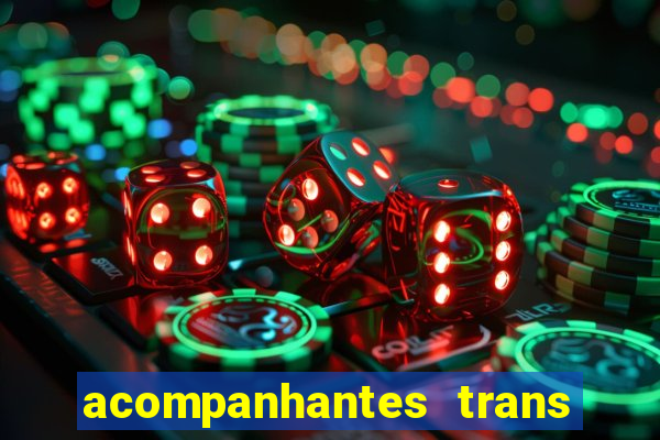 acompanhantes trans baixada fluminense