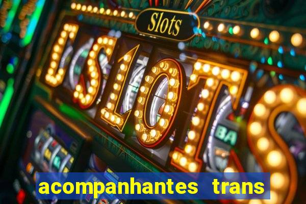 acompanhantes trans baixada fluminense