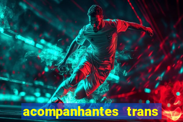 acompanhantes trans baixada fluminense