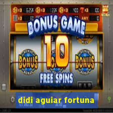 didi aguiar fortuna