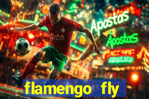 flamengo fly emirates ultimas noticias
