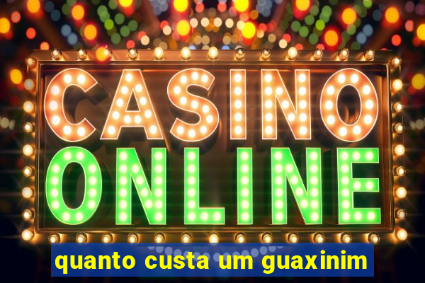 quanto custa um guaxinim