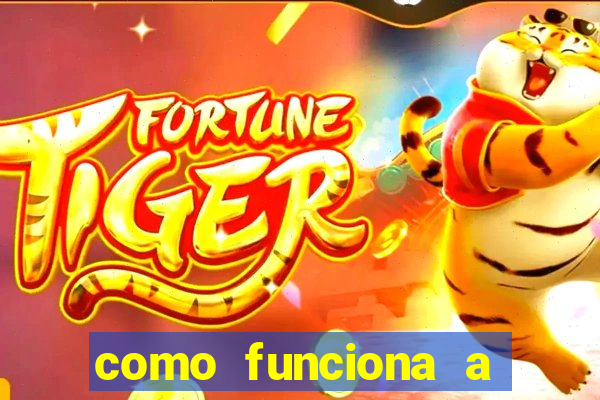 como funciona a aposta quem vence o resto do jogo