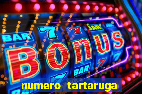 numero tartaruga jogo do bicho