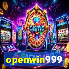 openwin999