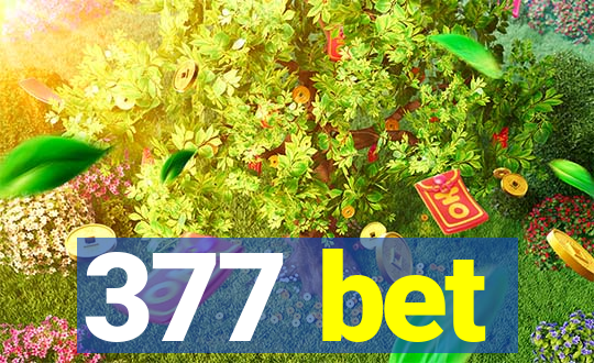 377 bet