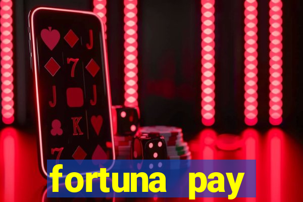 fortuna pay consultoria financeira ltda