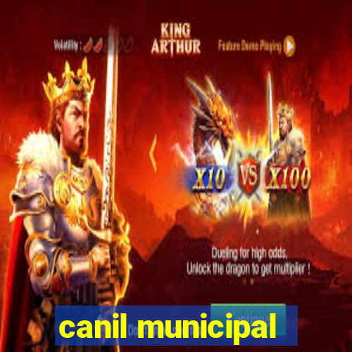 canil municipal