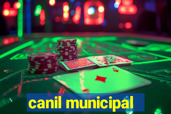 canil municipal