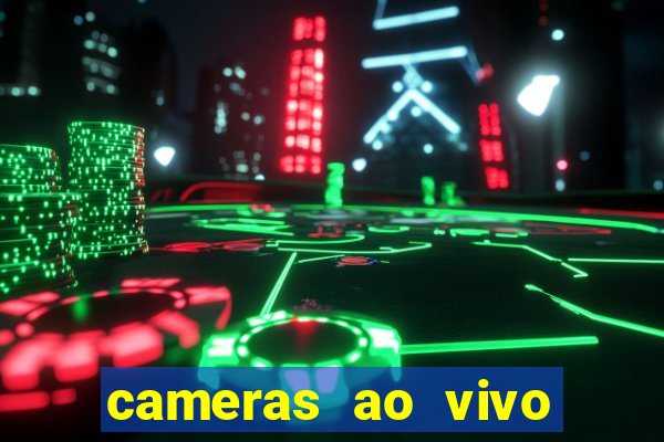 cameras ao vivo beto carrero