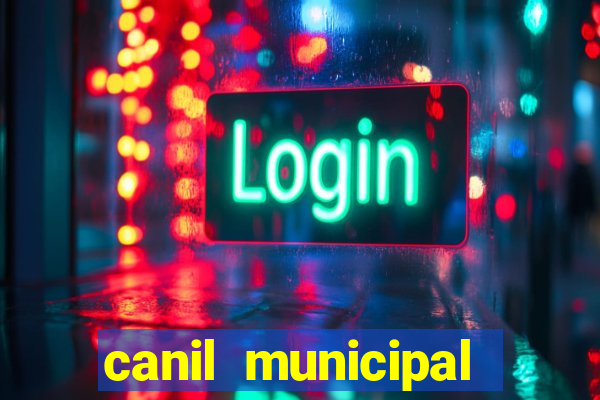 canil municipal porto alegre
