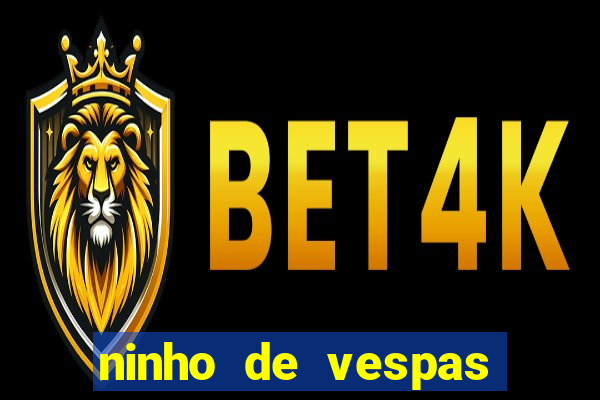 ninho de vespas significado espiritual
