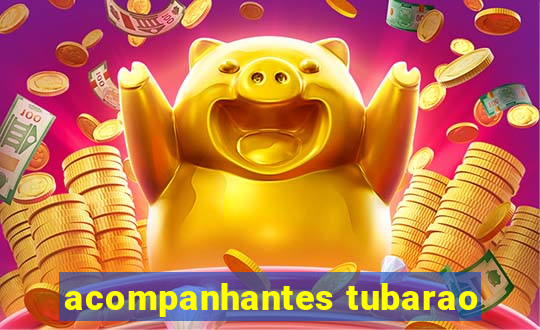 acompanhantes tubarao