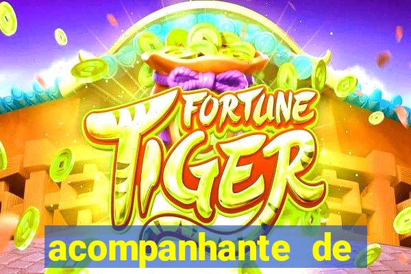 acompanhante de porto seguro
