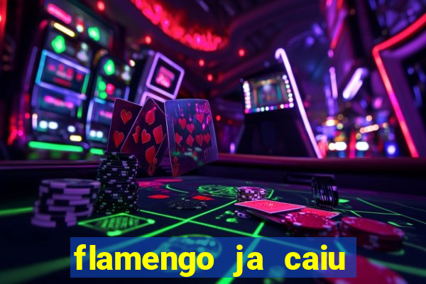 flamengo ja caiu para serie b