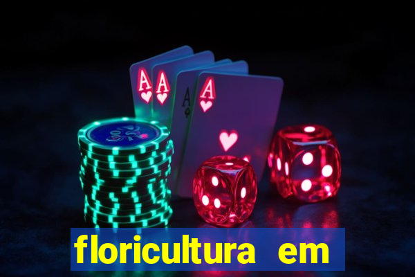 floricultura em franca sp