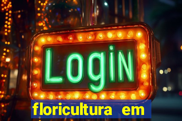 floricultura em franca sp