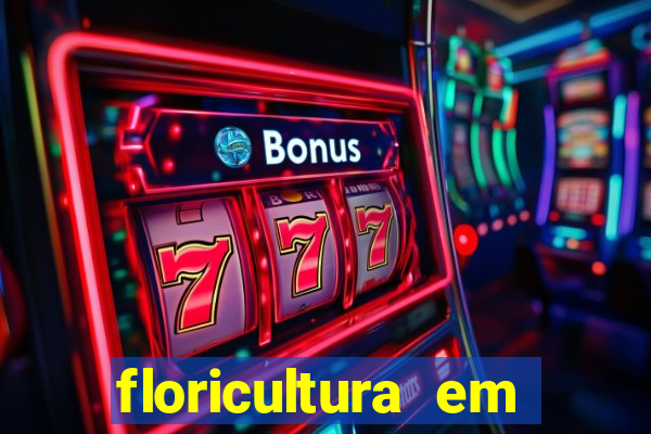 floricultura em franca sp
