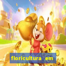 floricultura em franca sp