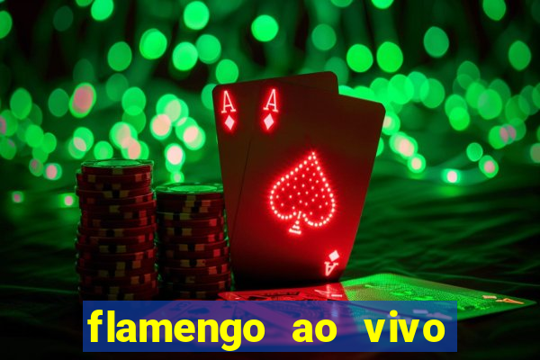 flamengo ao vivo multi tv