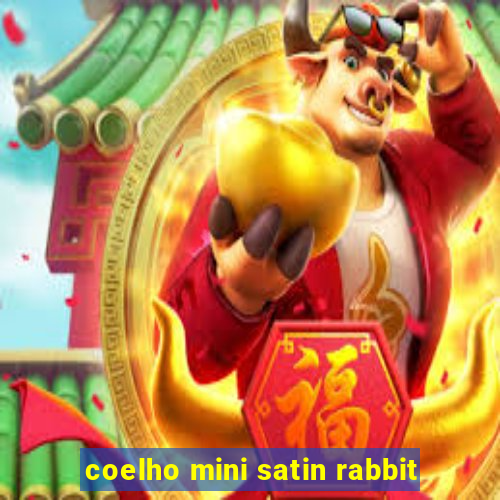 coelho mini satin rabbit